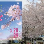東京・舎人公園で、千本の桜が咲き誇る「千本桜まつり」開催！3/28日～