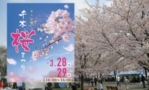 東京・舎人公園で、千本の桜が咲き誇る「千本桜まつり」開催！3/28日～
