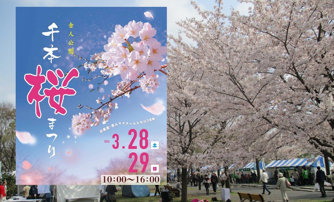 東京・舎人公園で、千本の桜が咲き誇る「千本桜まつり」開催！3/28日～