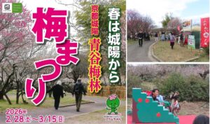 城陽市の春の風物詩、青谷梅林の「うめまつり」は3月15日まで！