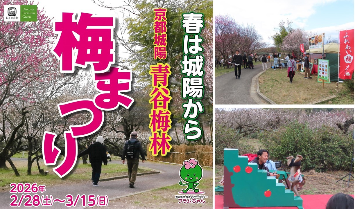 城陽市の春の風物詩、青谷梅林の「うめまつり」は3月15日まで！