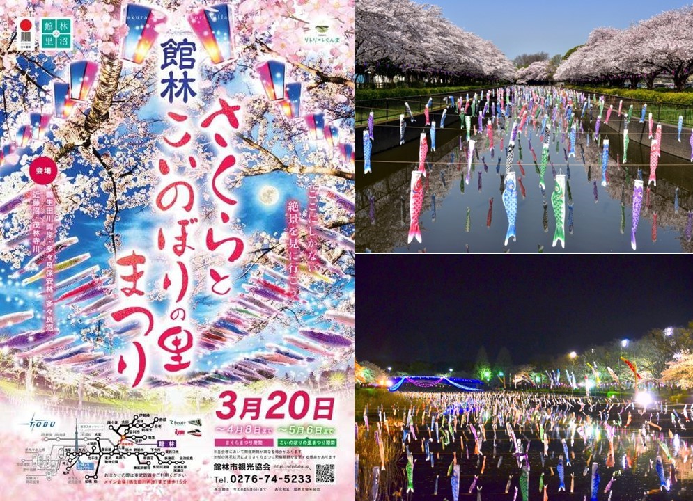群馬「館林さくらとこいのぼりの里まつり」開催!3/20日(金)~