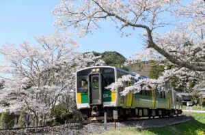 JR久留里線、来春には一部区間が廃止へ！桜との共演、今年がラストラン！