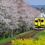 いすみ鉄道、全線復旧へ正念場！ 再建と維持に総額70億円の壁