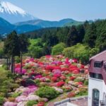 箱根・山のホテルで「つつじ・しゃくなげフェア」庭園無料開放！