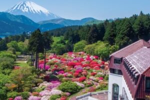 箱根・山のホテルで「つつじ・しゃくなげフェア」庭園無料開放！