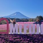 約50万株のピンクの絨毯「富士芝桜まつり」新フォトスポットも  4/11日～