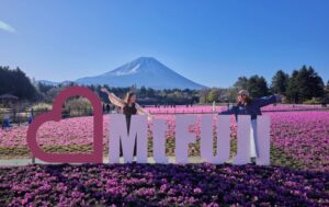 約50万株のピンクの絨毯「富士芝桜まつり」新フォトスポットも 4/11日~