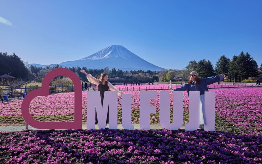 約50万株のピンクの絨毯「富士芝桜まつり」新フォトスポットも 4/11日~