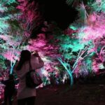 千葉の養老渓谷で、チームラボが「夜の野外展覧会」を開催！5/24日まで