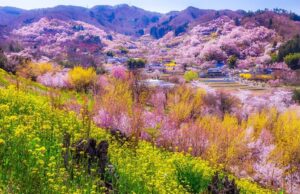 春の福島を満喫!JR6社が300超える特別企画「ふくしまDC」4月1日~