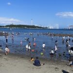 横浜市・金沢区「海の公園 潮干狩り2026」ついにシーズン到来！