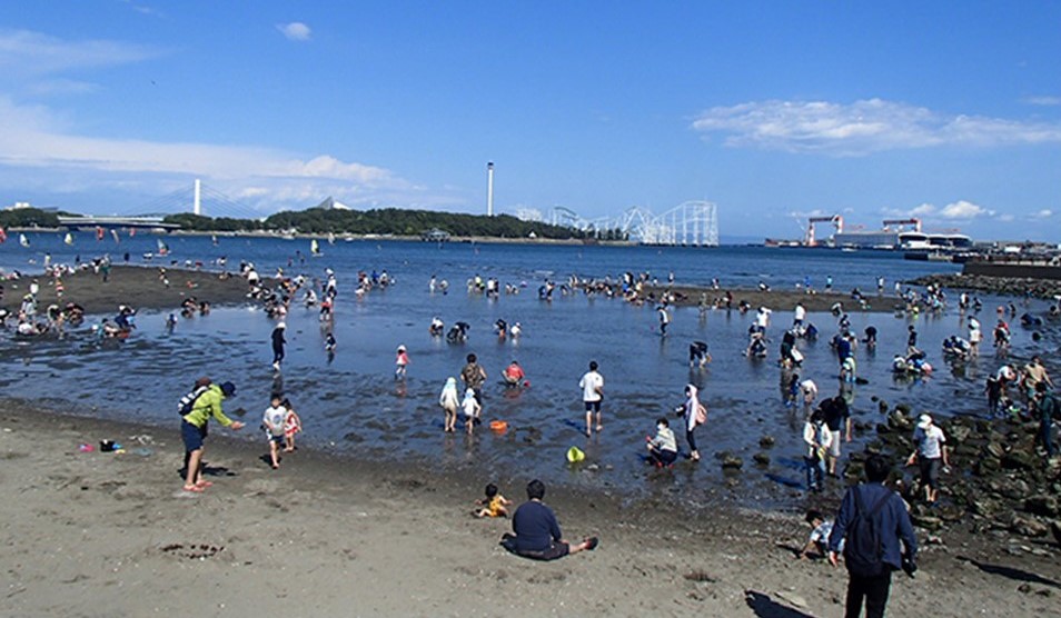 横浜市・金沢区「海の公園 潮干狩り2026」ついにシーズン到来！