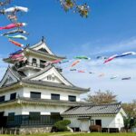 館山市「城山公園」で、約160匹のこいのぼりが泳ぐ！ 5/10日まで