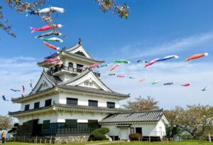館山市「城山公園」で、約160匹のこいのぼりが泳ぐ！ 5/10日まで