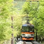 叡山電鉄「青もみじのトンネル」区間、徐行＆ライトアップ！5/31まで