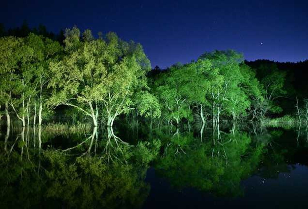山形・白川湖の「水没林」今しか見られない春限定の光景！5月中旬まで
