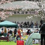 日本一遅い桜まつり、北海道釧路町で「釧路町桜まつり」開催！5/9日～