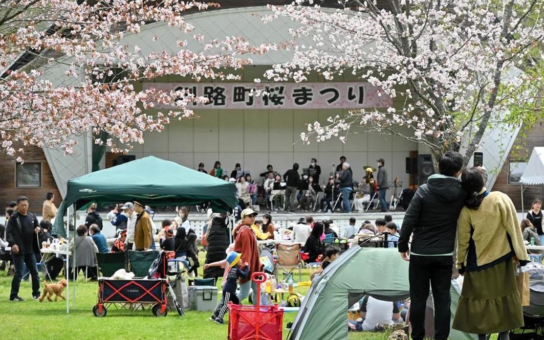日本一遅い桜まつり、北海道釧路町で「釧路町桜まつり」開催！5/9日～