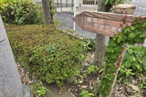 横浜市金沢区、谷戸（やと）が育む湧き水の郷、富岡の街を歩く