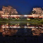 小湊鉄道・飯給駅で、桜とローカル鉄道の共演！非日常へ誘う水鏡も