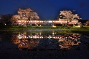 小湊鉄道・飯給駅で、桜とローカル鉄道の共演!非日常へ誘う水鏡も