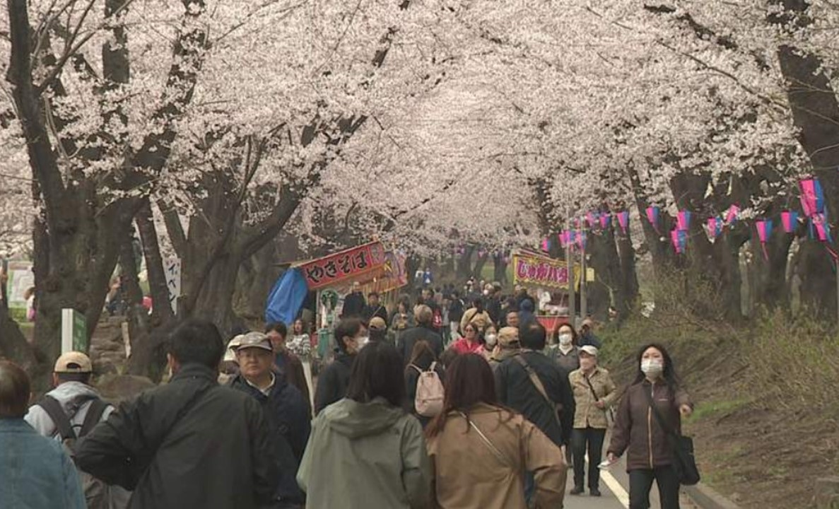 群馬・前橋市の桜の名所「赤城南面千本桜」で桜まつり！ 4/19日まで