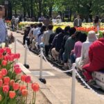 富山県「砺波チューリップ公園」で、ミニ列車を運行！ 4/25・26日