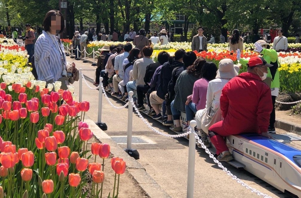 富山県「砺波チューリップ公園」で、ミニ列車を運行！ 4/25・26日