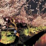 富山「高岡桜まつり」で、イナガキヤストさん監修のフォトスポット登場！