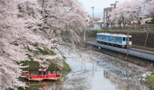 JR東、減速運転で粋な計らい　山形・霞城公園の桜を車窓から楽しんで！4/7日～