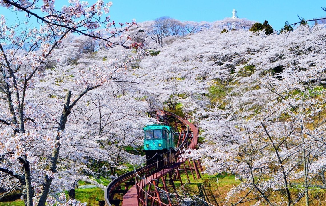 4/4日 仙台でサクラが満開! 平年より9日、去年より6日ともに早く