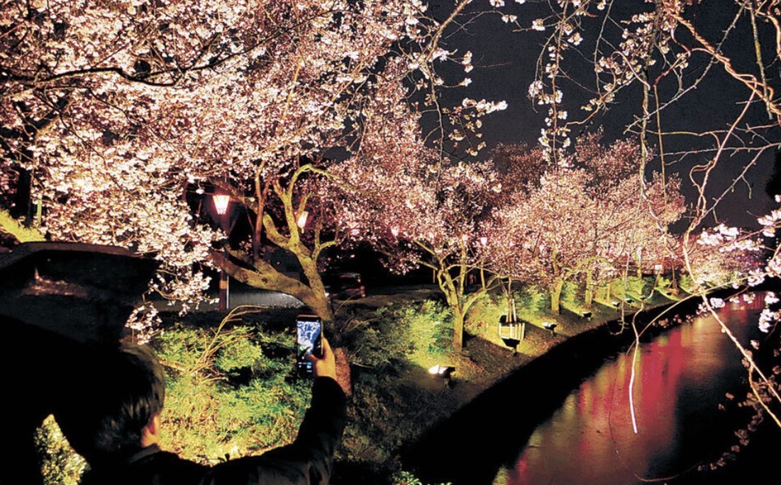 富山「高岡桜まつり」で、イナガキヤストさん監修のフォトスポット登場！