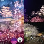 姫路城の丸庭園で、夜桜のライトアップイベント開催中 ！4月5日まで