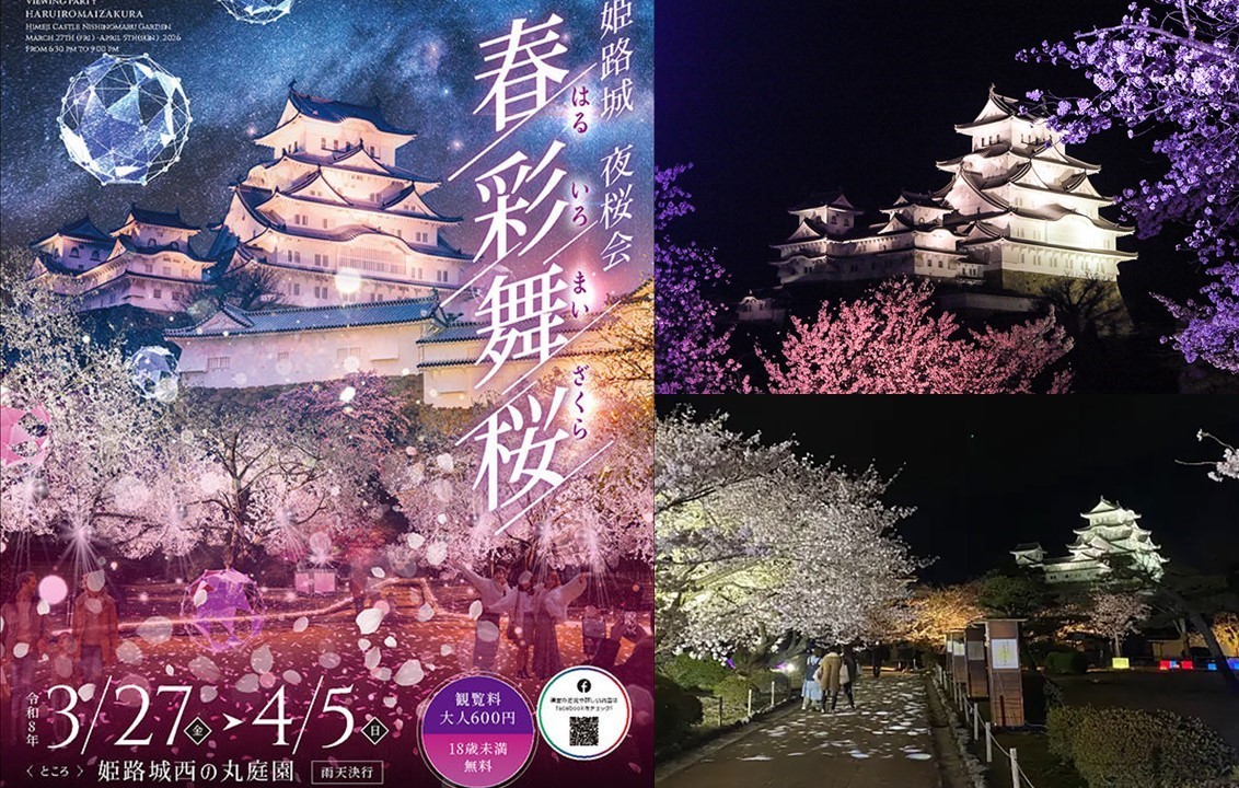 姫路城の丸庭園で、夜桜のライトアップイベント開催中 ！4月5日まで
