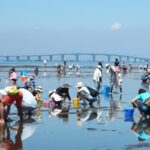 千葉県・木更津に潮干狩りシーズン到来！春のアウトドアを楽しむ