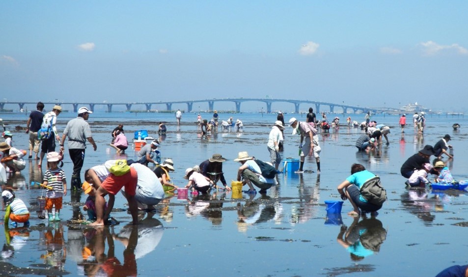 千葉県・木更津に潮干狩りシーズン到来!春のアウトドアを楽しむ