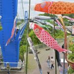茨城・常陸太田の竜神峡で、渓谷を泳ぐ1000匹のこいのぼり！5/10日まで