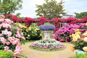 あしかがフラワーパーク「Rose Garden～春のバラまつり～」開催中