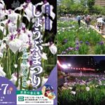 足立区で「しょうぶまつり＆世界の食広場」開催！ 6/6～7日