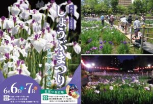 足立区で「しょうぶまつり＆世界の食広場」開催！ 6/6～7日