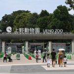 こどもの日、中学生以下は都内の動物園や庭園が入園無料に！5月5日
