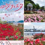 横須賀・ヴェルニー公園でバラの祭典　約1200株のバラが見頃！5/9日～