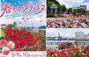 横須賀・ヴェルニー公園でバラの祭典　約1200株のバラが見頃！5/9日～