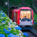 箱根登山電車が「夜のあじさい号」の運行を開始！ 6/13～30日