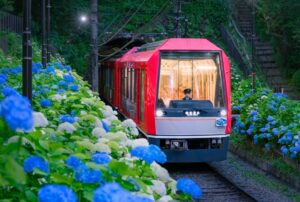 箱根登山電車が「夜のあじさい号」の運行を開始！ 6/13～30日
