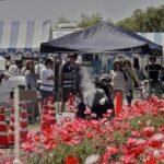 千葉・松戸で「江戸川松戸フラワーライン春の花まつり」開催！5/30日