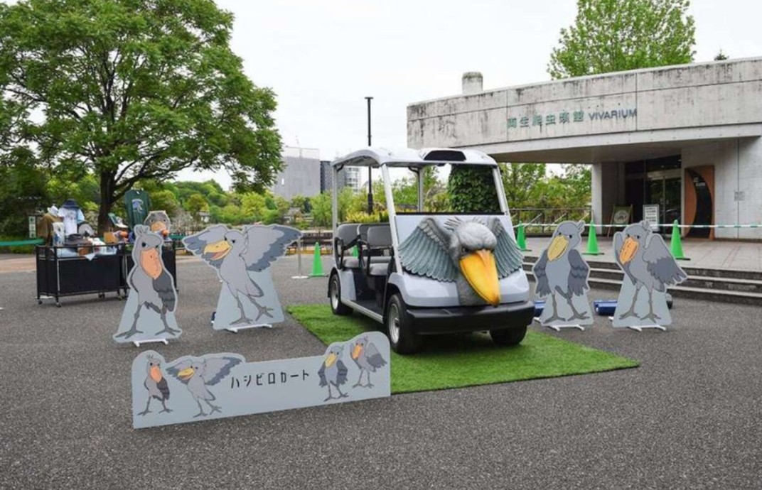 上野動物園で、動かない鳥「ハシビロコウ」の電動カートが運行へ