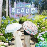 静岡・三島スカイウォークで初夏の風物詩「あじさい祭」開催！6/6日～
