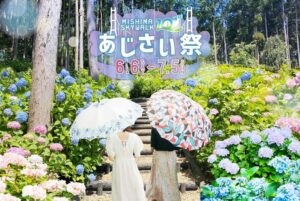 静岡・三島スカイウォークで初夏の風物詩「あじさい祭」開催！6/6日～